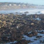 CambriaCN_127 (October 25, 2014)